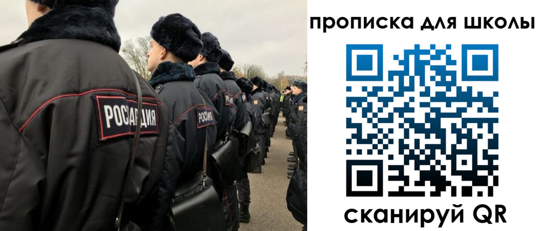 где прописаться в Коле